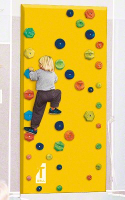 Junior Climbing Wall