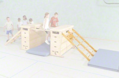 Vario Climbing Ladder Vario Climbing Ladder