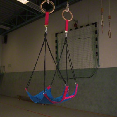 Suspended Swing